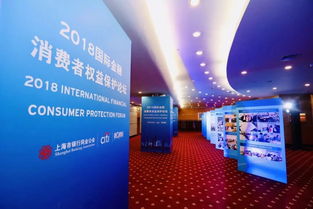 金融创新下的消费者保护 监管与自律在上海网络技术服务中的双重路径
